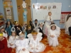 jaselka_motylki05