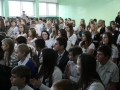 d_pat13_29 d_pat13_29